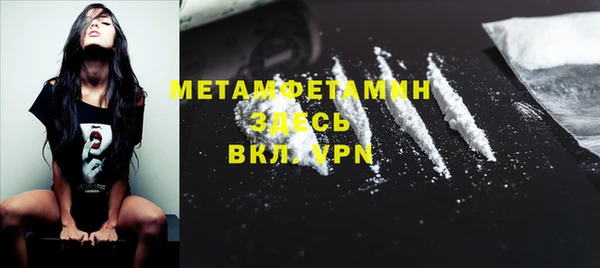 трава Ельня