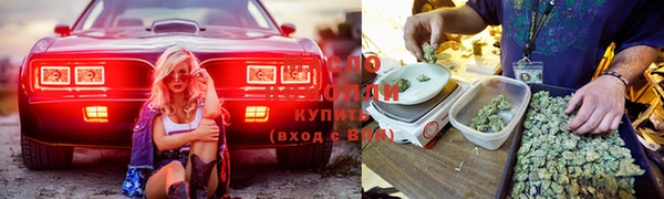 мдма Елизово