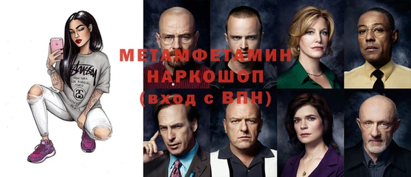 трава Ельня