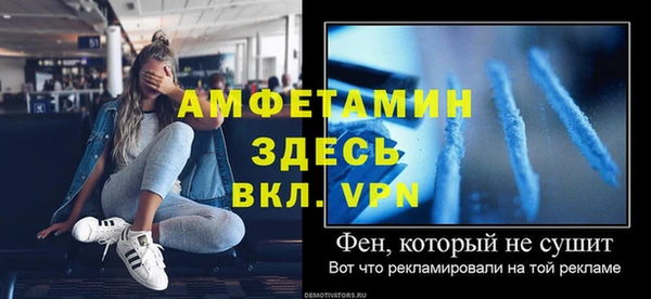 трава Ельня