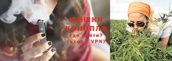 трава Ельня