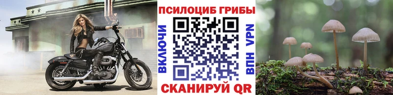магазин продажи наркотиков Черемхово Галлюциногенные грибы MAGIC MUSHROOMS